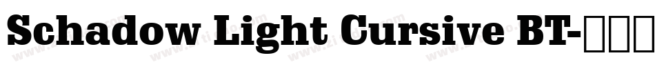 Schadow Light Cursive BT字体转换
